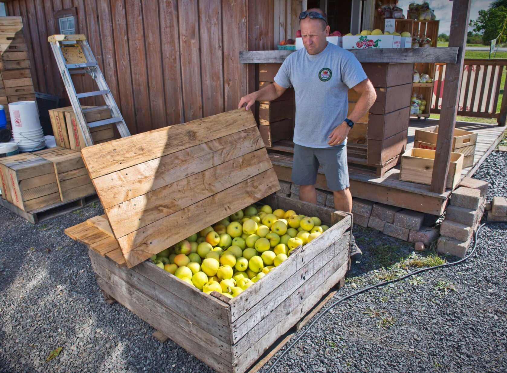 Many growers still seeing fruitful harvest